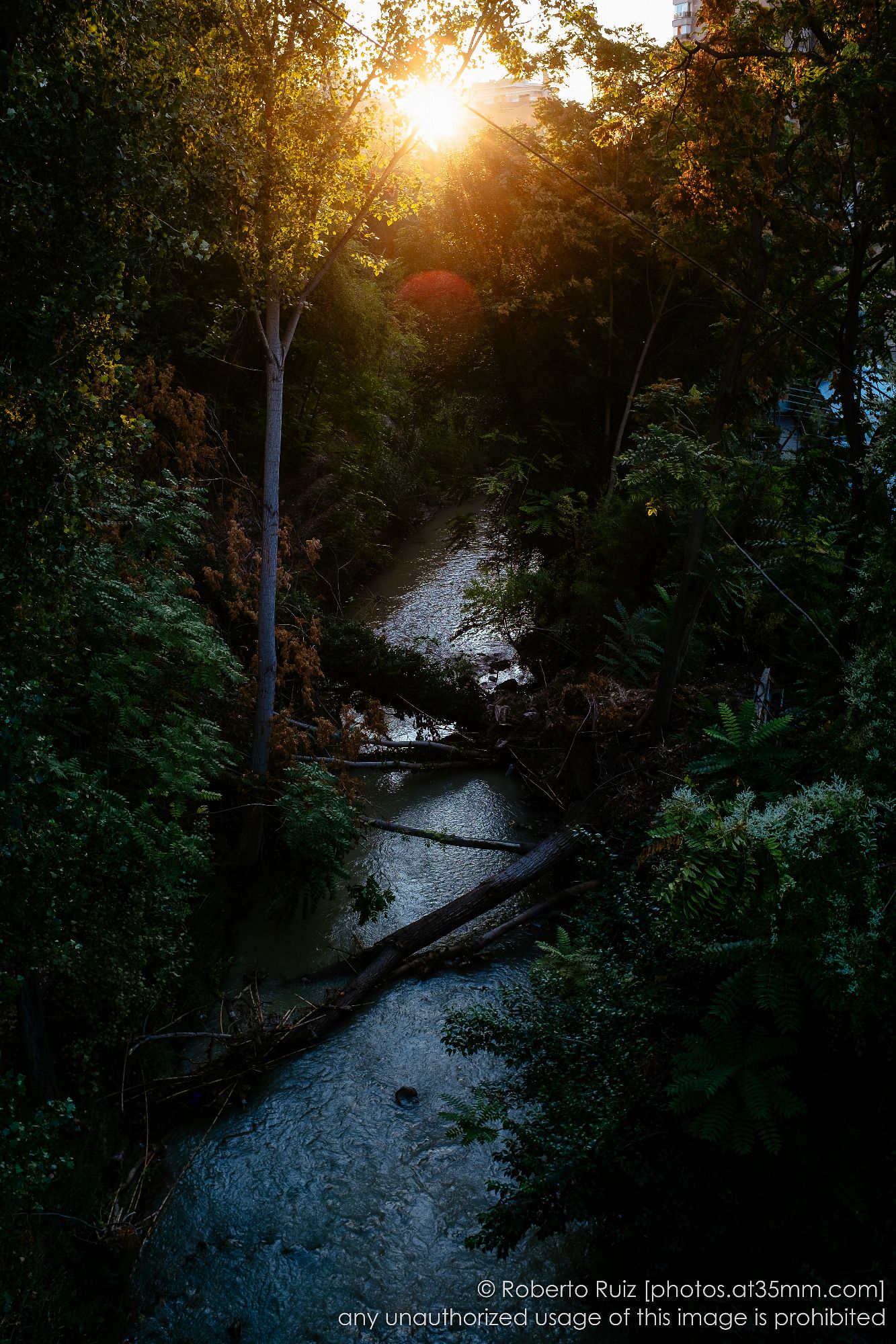 chasing the light