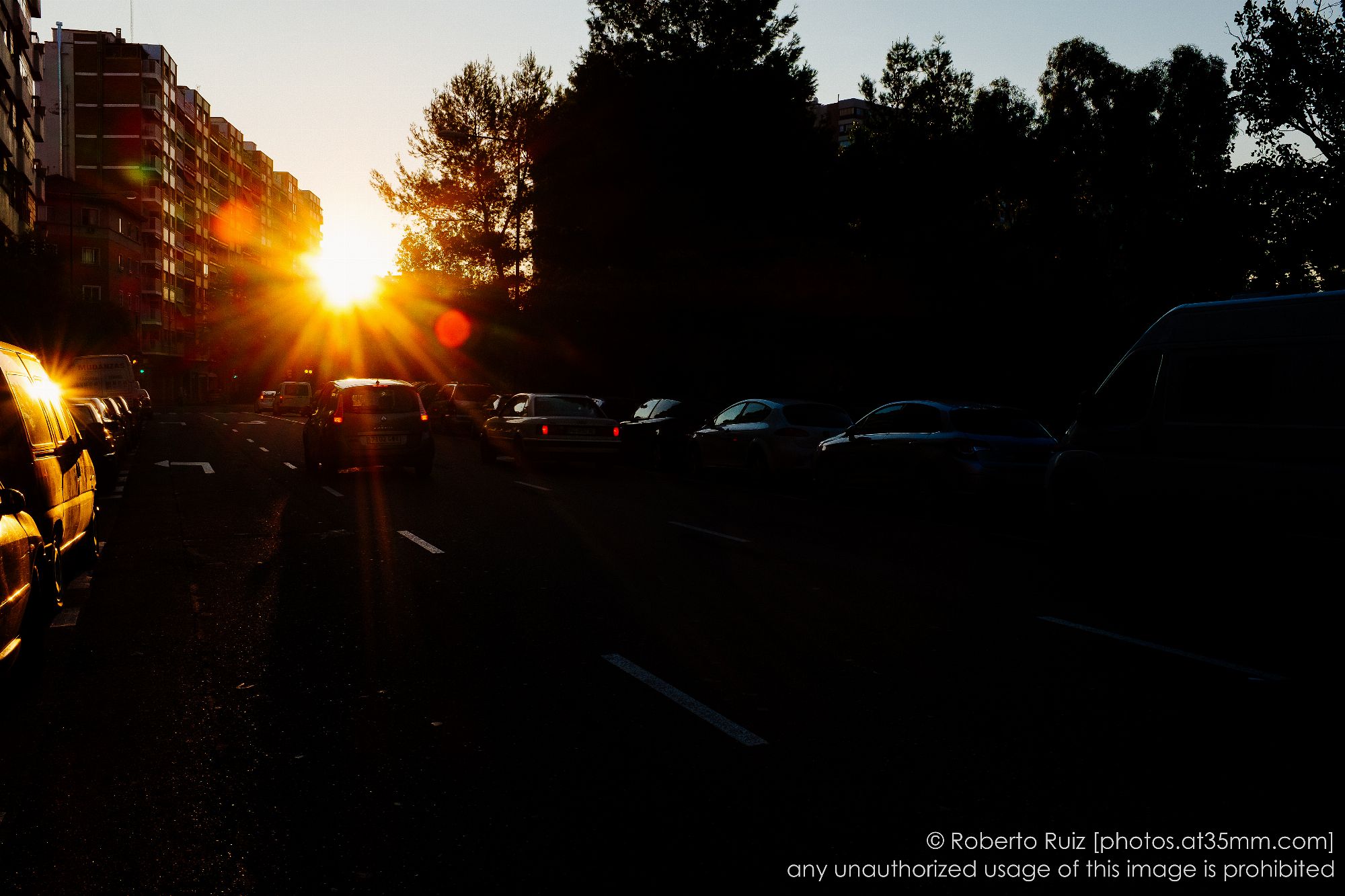 chasing the light