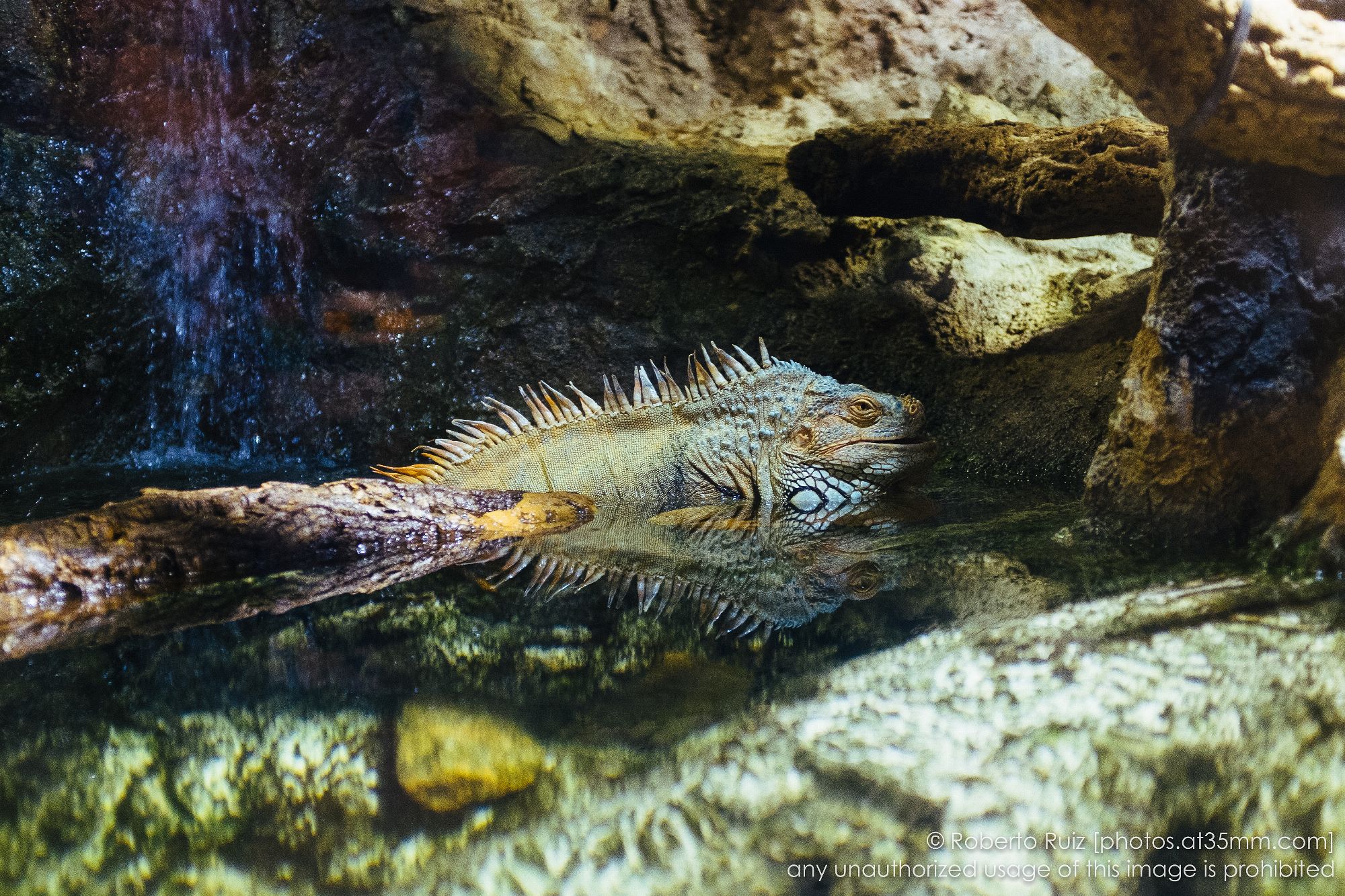 at the aquarium