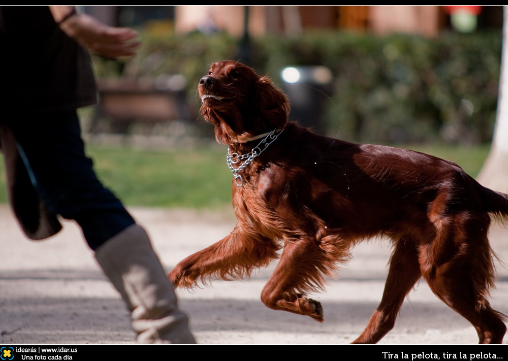 Tira la pelota, tira la pelota...