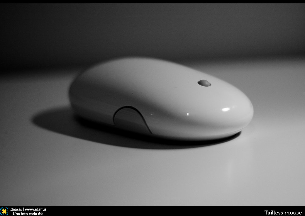 Tailless mouse